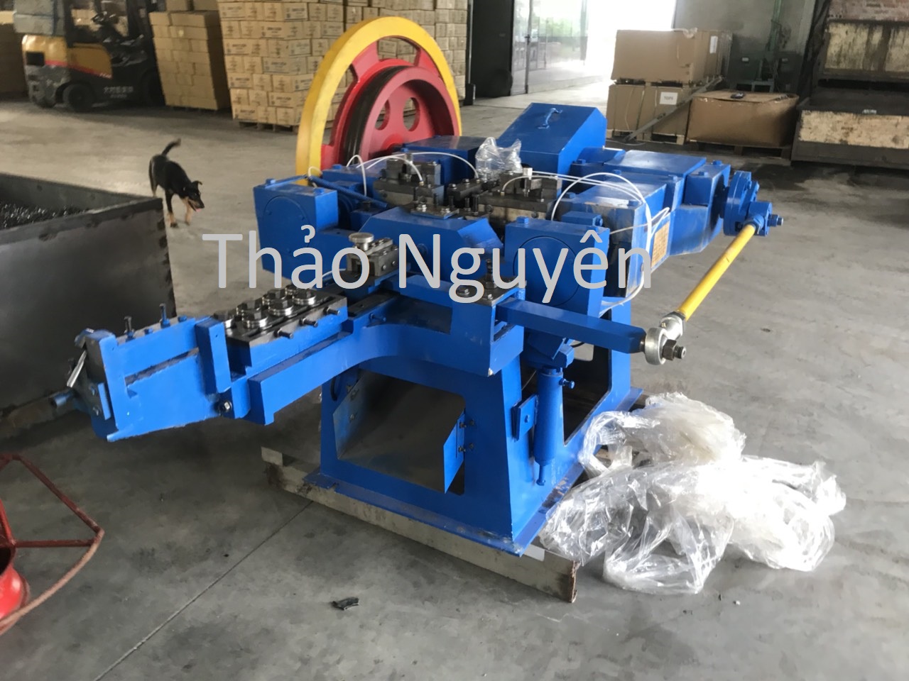 Máy dập đinh thép 5C